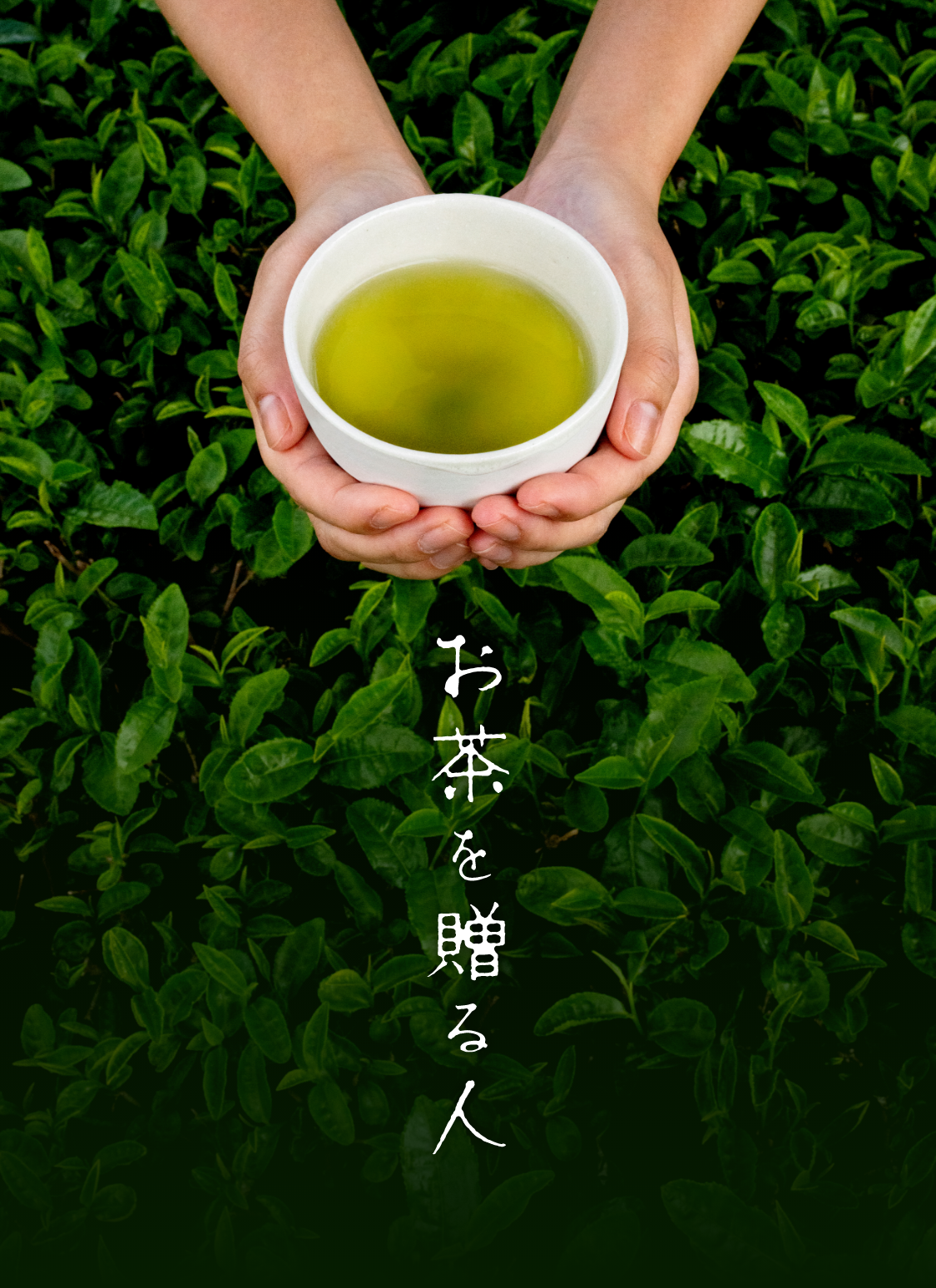 main_img_da616b47-1e2e-44ed-aa92-1315dc2935d7.png